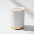 AI Smart Home Hub