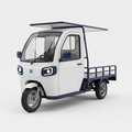 Electric Cargo Vehicle